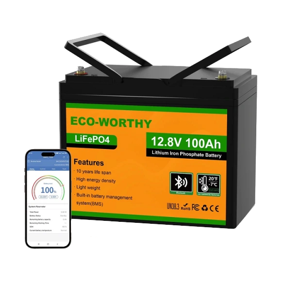 [elc5359] Акумуляторна батарея Eco-Worthy LiFePO4 12V 100Ah bluetooth