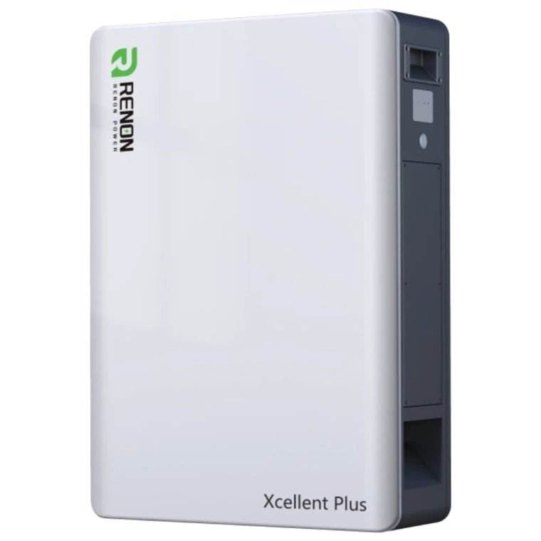 [elc5368] Літієва акумуляторна батарея Renon Xcellent Plus 51.2В 314А*г